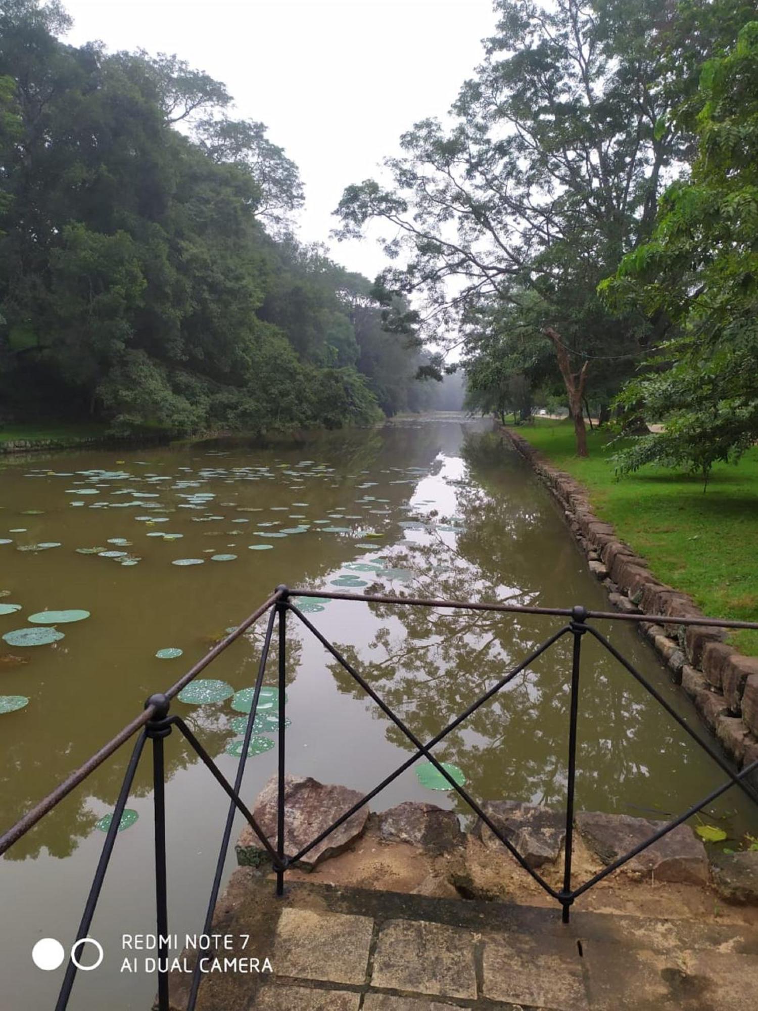 Winstar Homestay Sigiriya Exterior foto